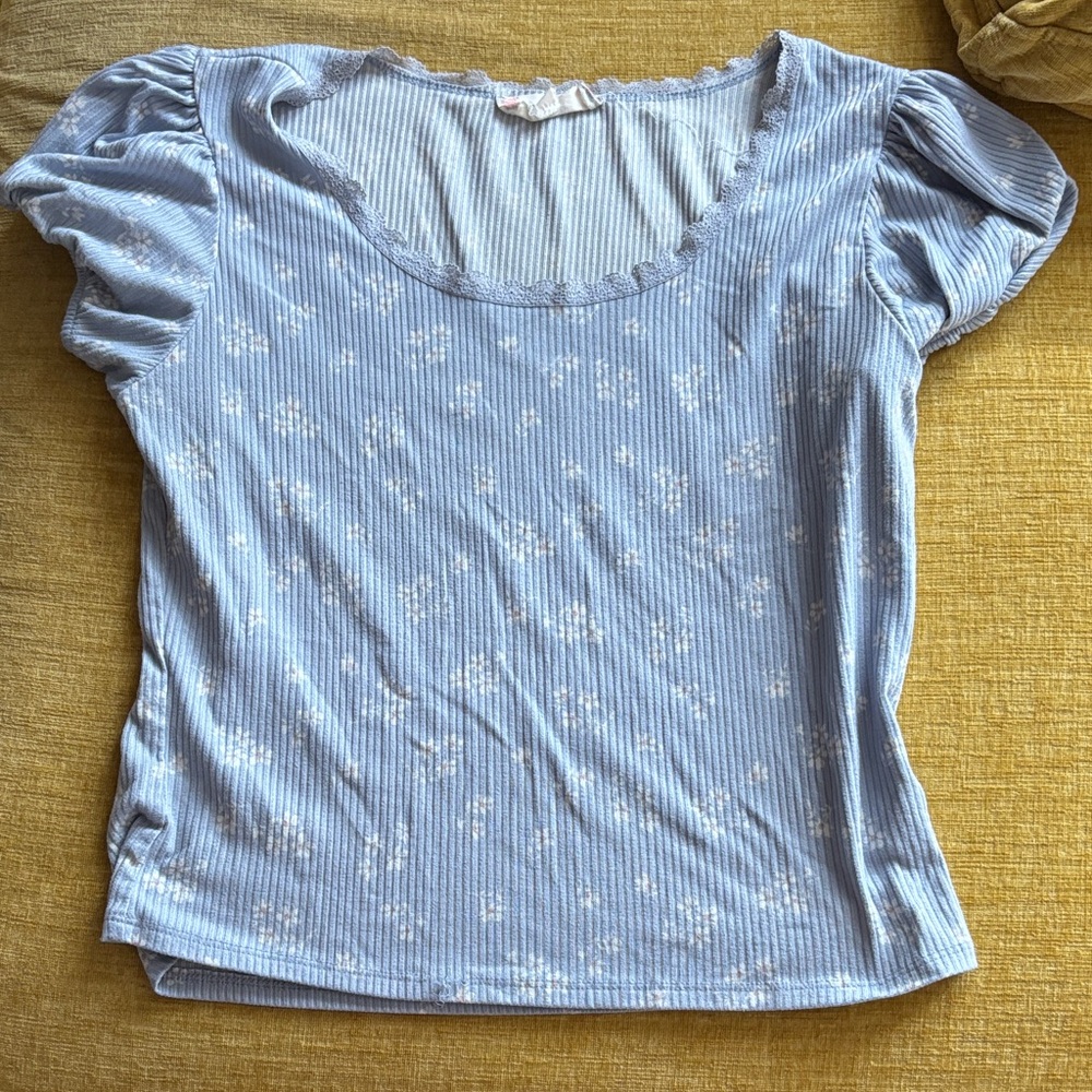 Pink Rose Light Blue Floral Crop Top